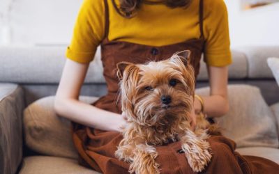 Top 10 Essential Tips for First-Time Dog Owners: A Pawsitive Start to Pet Parenthood
