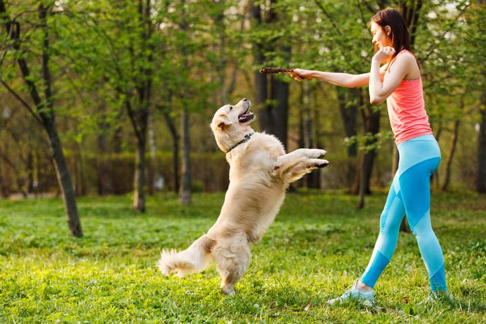 Mastering Off-Leash Dog Training for a Happy and Well-Behaved Pup